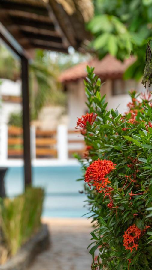 Hotel Luna Llena Тамариндо Екстериор снимка